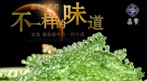 长寿藻 晶宴海葡萄 亮相世博威营养健康产业展