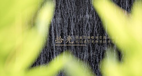 合肥蜀山区晶宫山水拾光社区环境怎么样