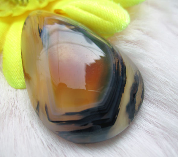 悦莲晶:看得分明,美的静心